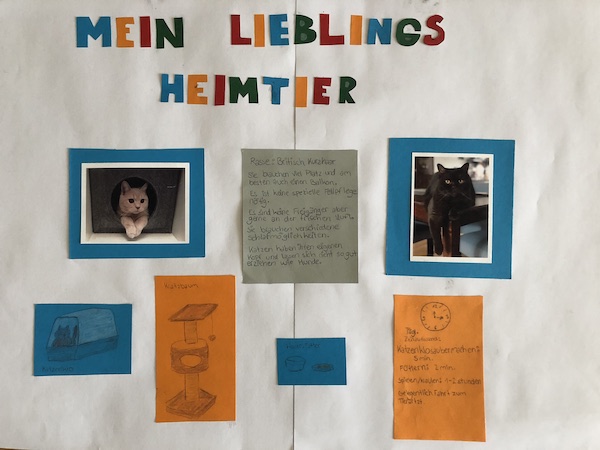Plakat Wunschtiere 5b 11