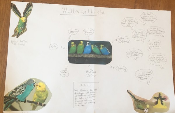 Plakat Wunschtiere 5b 11