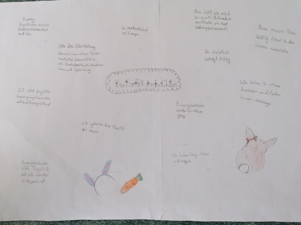 Plakat Wunschtiere 5b 12