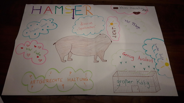 Plakat Wunschtiere 5b 13