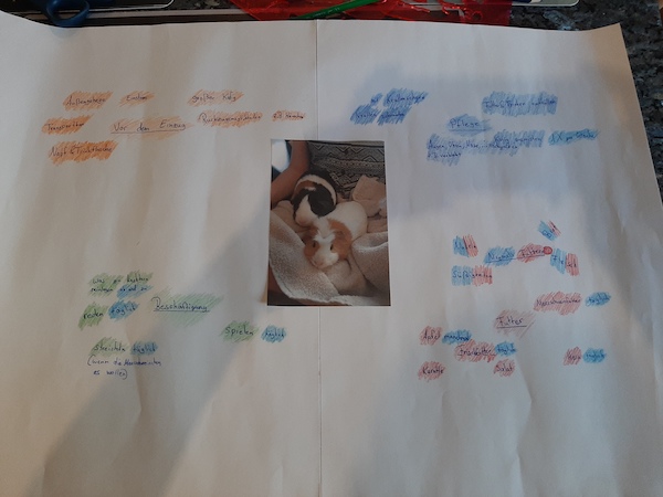 Plakat Wunschtiere 5b 14