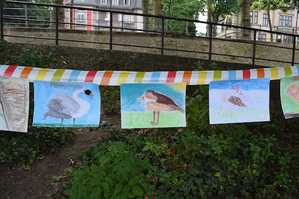 Senckenberg 2