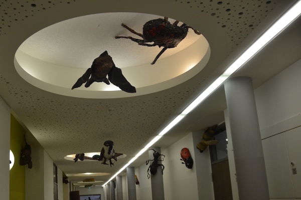 Tierausstellung 6