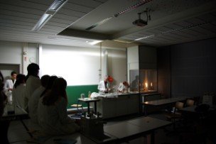 Schulfest 2008