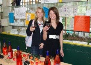 Schulfest 2008